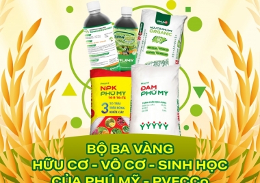 Bộ ba vàng ‘vô cơ - hữu cơ - sinh học’ của Phú Mỹ - PVFCCo