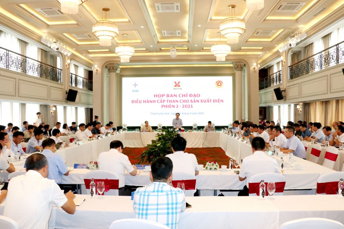 The Steering Committee for Coal Supply for Power Generation met for the 2nd session of 2025