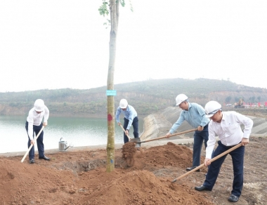 TKV phát động ‘Tết trồng cây đời đời nhớ ơn Bác Hồ’ Xuân Bính Ngọ 2026
