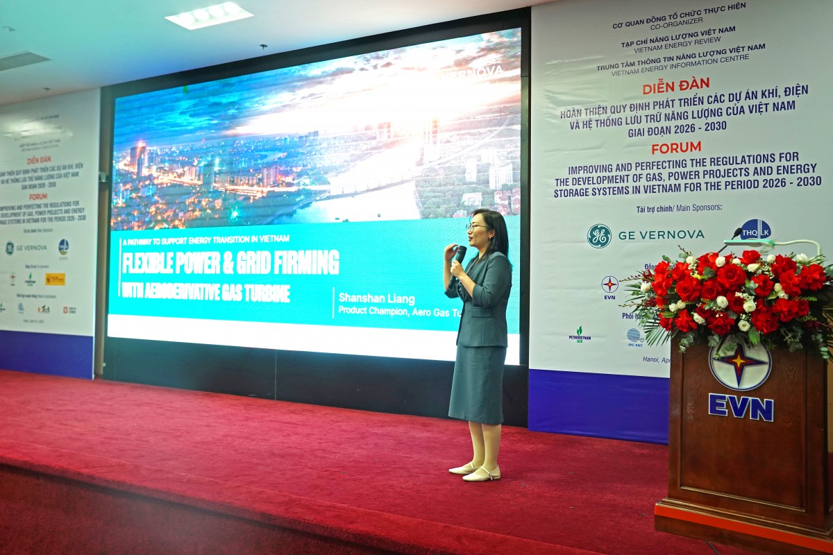 Improving and perfecting the regulations for the development of gas, power projects and energy storage systems in Vietnam for the period 2026 – 2030