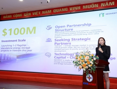 NEOVEST chia sẻ kinh nghiệm quốc tế, gợi ý mô hình phát triển BESS tại Việt Nam