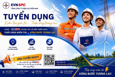 Tổng công ty Điện lực miền Nam tuyển dụng nhân sự