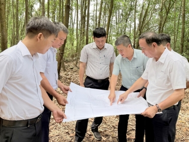 Tình hình thực hiện bồi thường, giải phóng mặt bằng dự án TBA 220kV Dung Quất 2 và đường dây đấu nối
