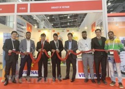 vietnam attends fair on electrical equipment energy in india