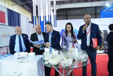Vietnam's energy sector has not yet ascended to the summit