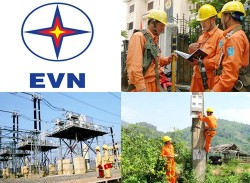 the government issues the charter of organization and operation of vietnam electricity