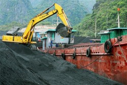 Tough year awaits Vietnam's mining sector