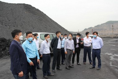 promoting coal production for meeting the demand of the tpps