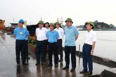 Vinacomin strengthens the management and effective exploitation of the port- warehouse system