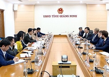 bp group and sovico proposed to invest in offshore wind power project in quang ninh