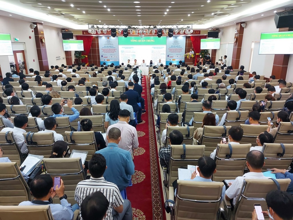 Proposing policies for developing the wind and solar and gas power projects in Vietnam