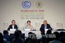 world leaders discuss ways to combat climate change
