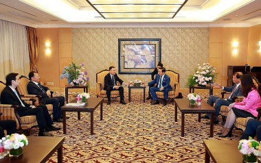 Deputy Prime Minister Tran Hong Ha received the Chairman of Jiangsu (Giang To) New Energy Group