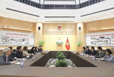 WB will accompany Vietnam in implementing Power Development Planning VIII