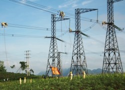 EVNNPT strives to increase transmission electricity output by   11% per year in 2016-2020 period