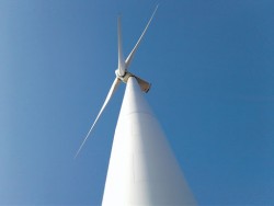 the wind power projects with a total capacity of 70 mw in dak lak have been granted investment policy