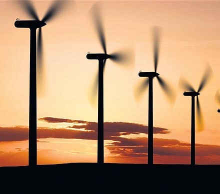 Thailand companies would like to invest the wind power projects in Nhon Hoi Economic Zone