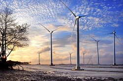 approving the project wind power development in vietnam