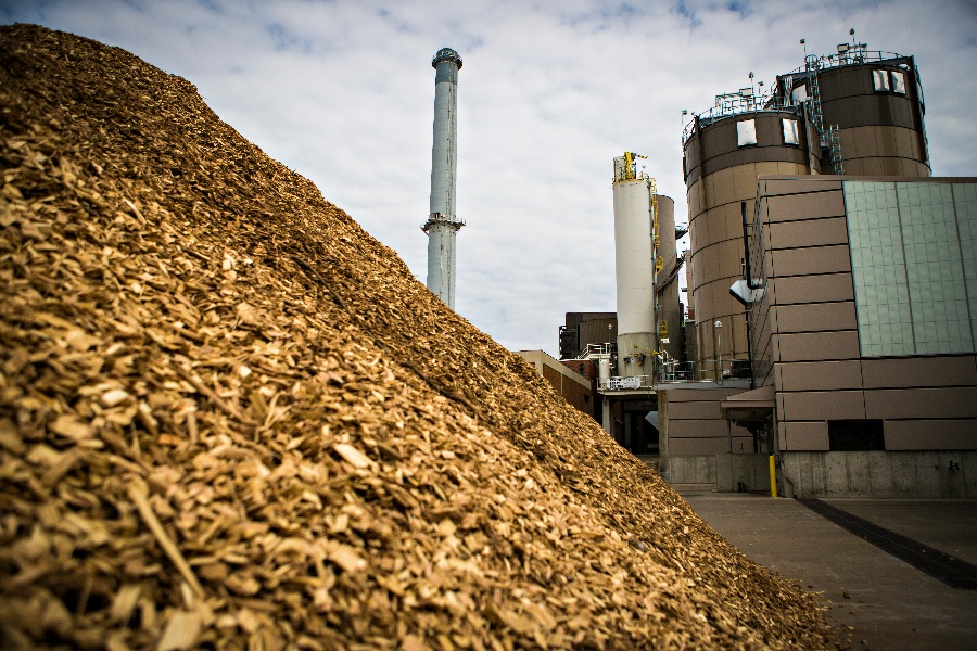increasing electricity price for the biomass energy projects