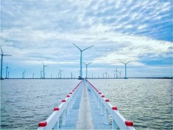 New regulations on wind power development to avoid overlapping planning
