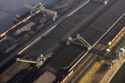 import coal strongly increased