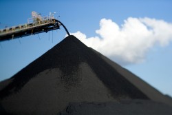 the prime minister has agreed to export 205 million tons of coal per year