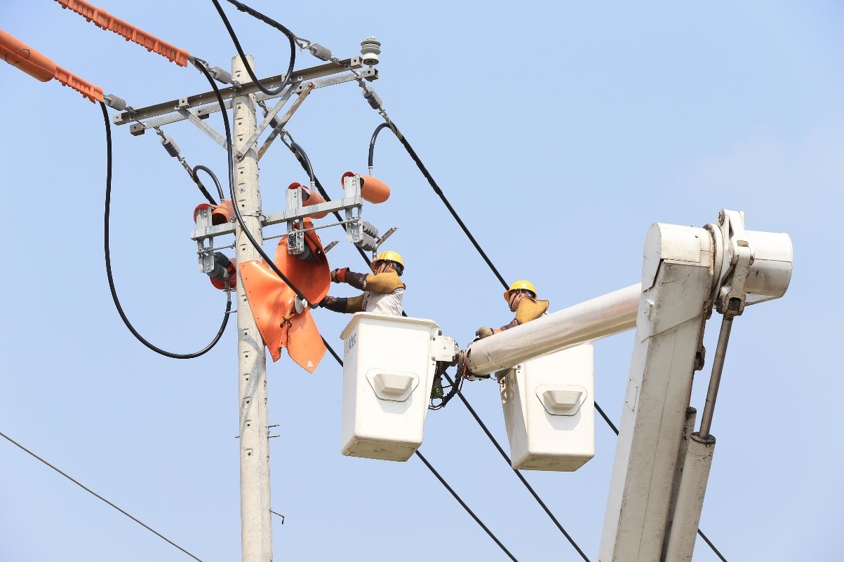 Một số tiểu dự án lưới điện phân phối miền Nam vay vốn AFD chậm tiến độ