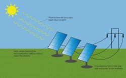 evn considers investment in solar power development