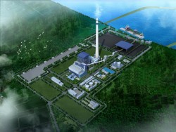 Kaidi group (Hong Kong of China) wishes to expand its investment in Coal-fired TPPs in Vietnam