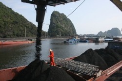 vinacomin rises production of the high quality coal for export